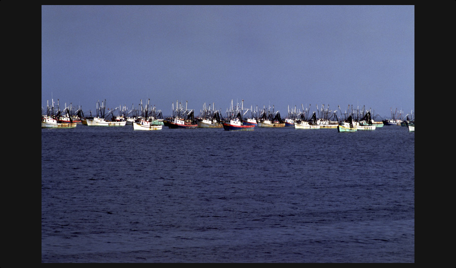 漁船の群れ
